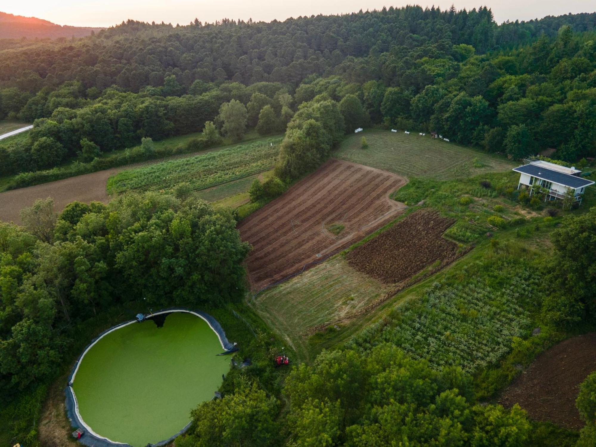 Narkoey Ecologic Hotel & Organic Farm 科喀艾里 外观 照片