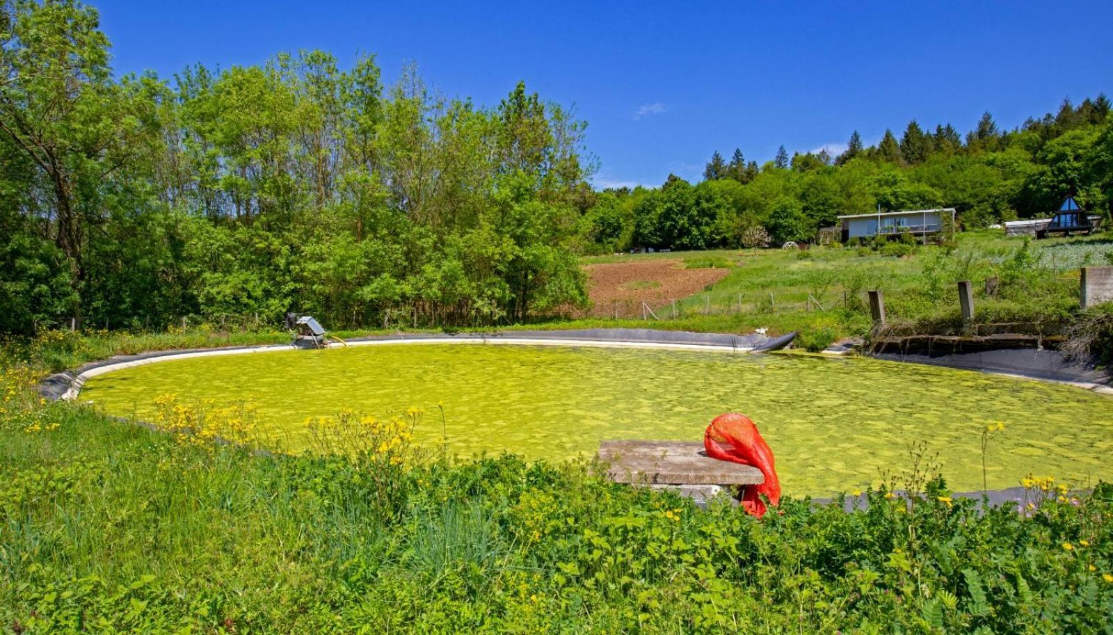 Narkoey Ecologic Hotel & Organic Farm 科喀艾里 外观 照片